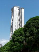 项目远望十分高大