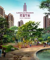 效果图