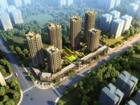 鸟瞰效果图