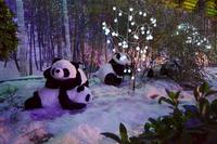 南兴地产首届冰雪嘉年华