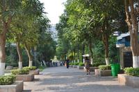 园林实景图1