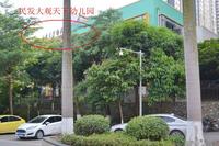 项目规划幼儿园
