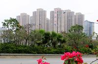 B区远景