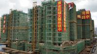 工程进度图