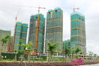 项目最新工程实景