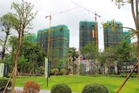 项目最新工程实景