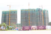 项目最新工程实景