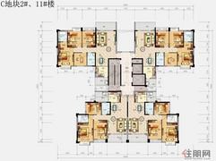 C地块2#、11#楼D户型