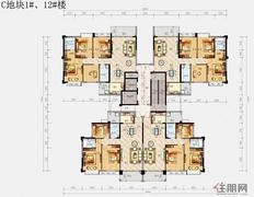 C地块1#、12#楼A户型