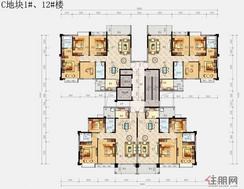 【C地块1#、12#楼A户型】2厅2卫1厨2阳台