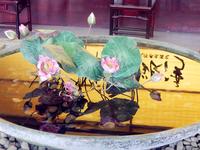 蓝海银湾 实景图 照片