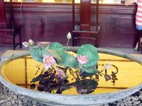 蓝海银湾 实景图 照片