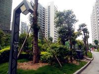 蓝海银湾 实景图 照片