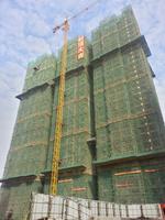 都市绿洲实景图