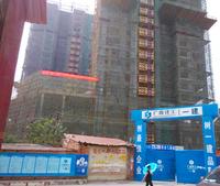 项目施工进度图