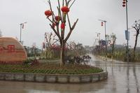 盛世名城旁边就是生态园