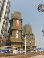 项目施工进展图