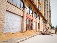 最新工程进度图