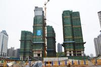 施工进度图