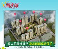 项目效果图1