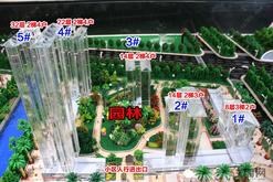 效果图