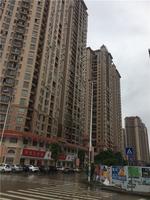 桂海塞纳庄园2016年11月实景图