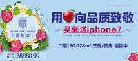 用苹果向品质致敬