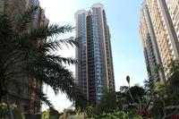 南兴乾隆苑小区实景