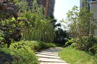 南兴乾隆苑小区实景