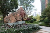 南兴乾隆苑小区实景