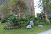 南兴乾隆苑小区实景