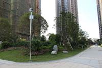 南兴乾隆苑小区实景