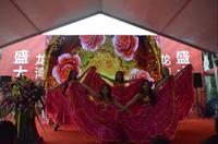 龙湾公馆首期开盘开场热舞