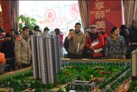 龙湾公馆首期开盘客户在研究项目沙盘图