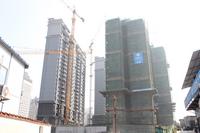 10月施工进度实景图