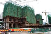 5月工程进度