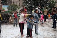 天湖·御林湾 | 圣诞嘉年华欢乐举行