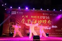 天湖·御林湾 2016年春节联欢晚会圆满成功