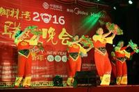 天湖·御林湾 2016年春节联欢晚会圆满成功