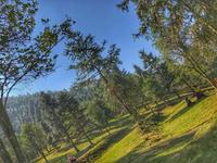 “开森家族”六万山森林之旅