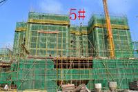 香槟郡工程进度实景图