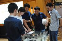 探讨户型模型图