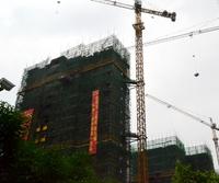 项目实景图四月