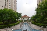 项目实景图四月