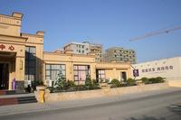 鼎盛中央公园实景图