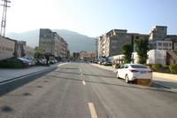 鼎盛中央公园实景图