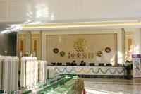 鼎盛中央公园实景图