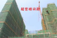 香槟郡工程实景图