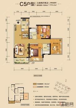 【C5户型】3室2厅2卫1厨1阳台