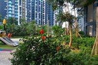 2016年9月园林实景